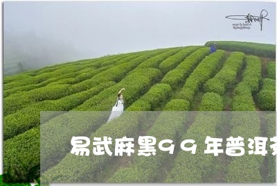 易武麻黑99年普洱茶/2023092738590