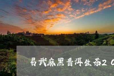 易武麻黑普洱生茶2084日/2023052798162