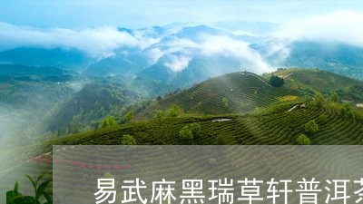 易武麻黑瑞草轩普洱茶/2023062065249