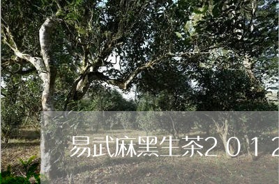 易武麻黑生茶2012年价格/2023052696169