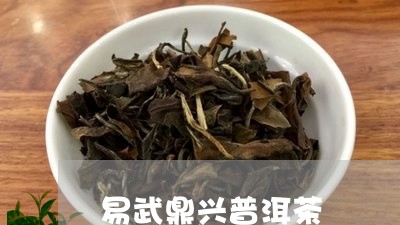 易武鼎兴普洱茶/2023121664268