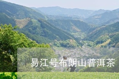 易江号布朗山普洱茶/2023112736251