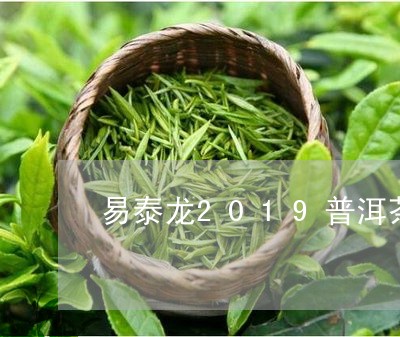 易泰龙2019普洱茶/2023100547059