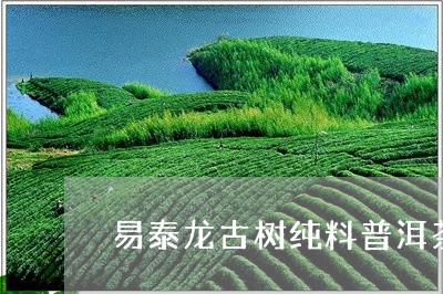 易泰龙古树纯料普洱茶/2023072173936