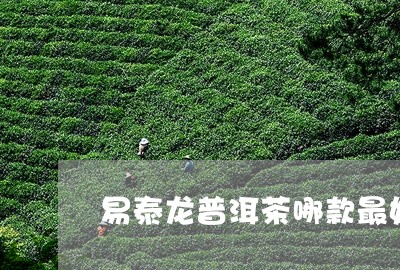 易泰龙普洱茶哪款最好/2023061685049