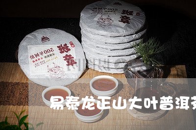 易泰龙正山大叶普洱茶/2023061847059