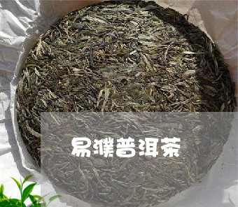 易濮普洱茶/2023090692512