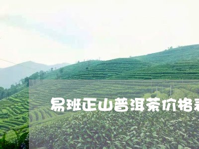 易班正山普洱茶价格表/2023092683027