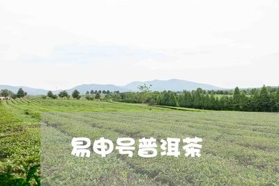 易申号普洱茶/2023042868639