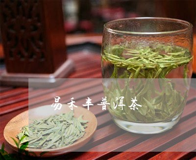 易禾丰普洱茶/2023042592961