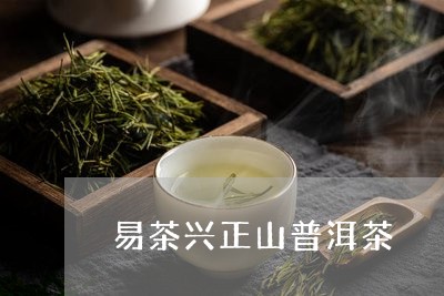 易茶兴正山普洱茶/2023120351683