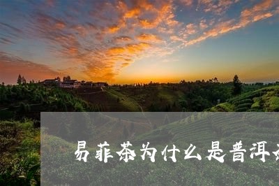 易菲茶为什么是普洱茶类/2023120758169