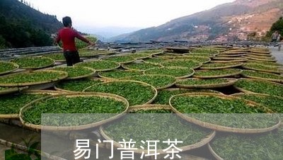 易门普洱茶/2023090582505