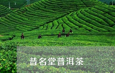 昔名堂普洱茶/2023042798920