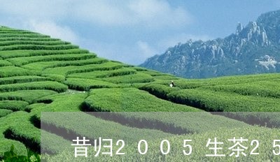 昔归2005生茶250克/2023051228291