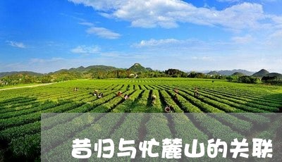 昔归与忙麓山的关联/2023042047482