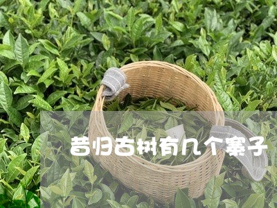 昔归古树有几个寨子/2023042029591