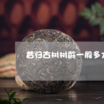 昔归古树树龄一般多大/2023060865940