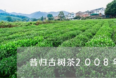 昔归古树茶2008年/2023061003828