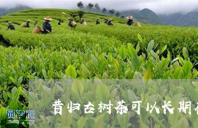 昔归古树茶可以长期存放吗/2023051288150