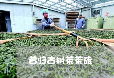 昔归古树茶茶砖/2023042950730