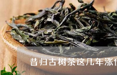 昔归古树茶这几年涨价/2023092273714