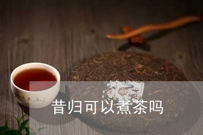 昔归可以煮茶吗/2023042973307