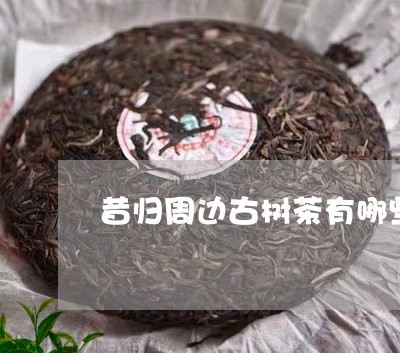 昔归周边古树茶有哪些特点/2023051226471