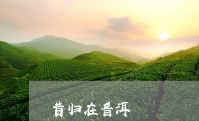 昔归在普洱/2023121963717