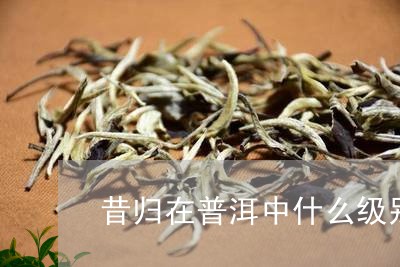 昔归在普洱中什么级别/2023071405960