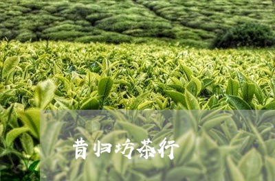 昔归坊茶行/2023090216270