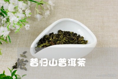 昔归山普洱茶/2023042704991