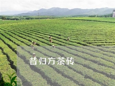 昔归方茶砖/2023110901916