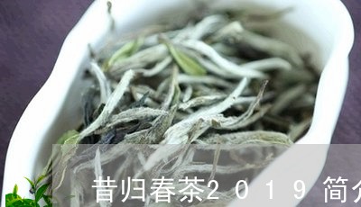 昔归春茶2019简介/2023060857069