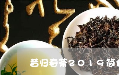 昔归春茶2019简介/2023071438462