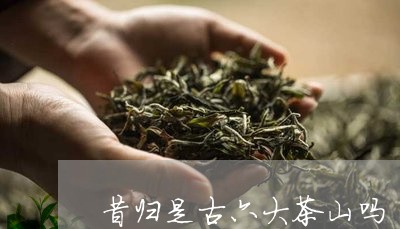 昔归是古六大茶山吗/2023042024158