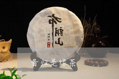 昔归是绿茶/2023121924047