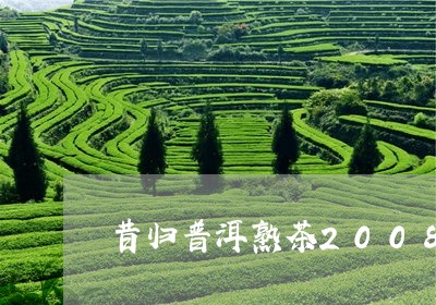 昔归普洱熟茶2008/2023092402026