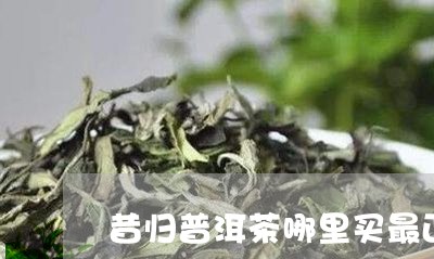 昔归普洱茶哪里买最正宗/2023050612515