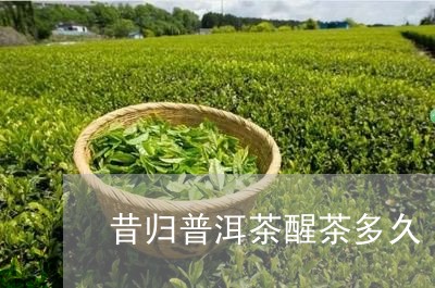 昔归普洱茶醒茶多久/2023092581827