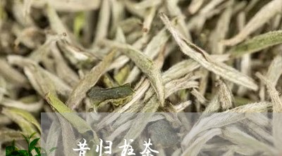 昔归柱茶/2023110877263