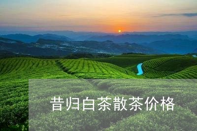 昔归白茶散茶价格/2023062107273