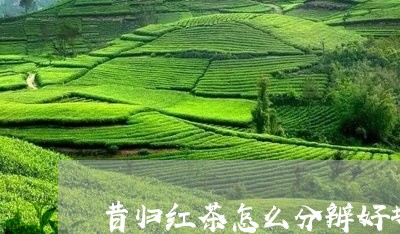 昔归红茶怎么分辨好坏/2023060837150