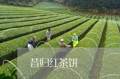 昔归红茶饼/2023090214157