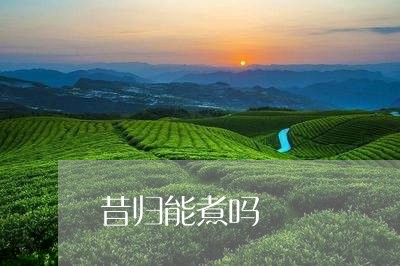 昔归能煮吗/2023121966258