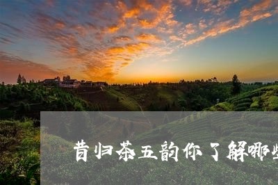 昔归茶五韵你了解哪些/2023071698691