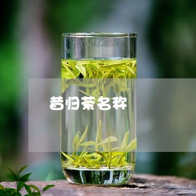 昔归茶名称/2023041859185