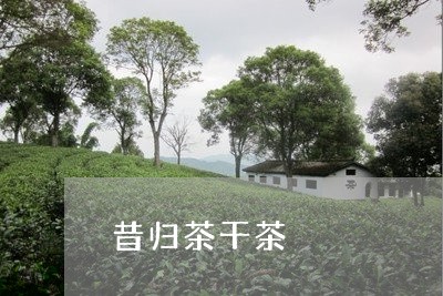 昔归茶干茶/2023041773947