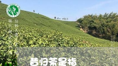 昔归茶是指/2023041835489