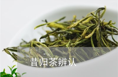 昔归茶辨认/2023090285158